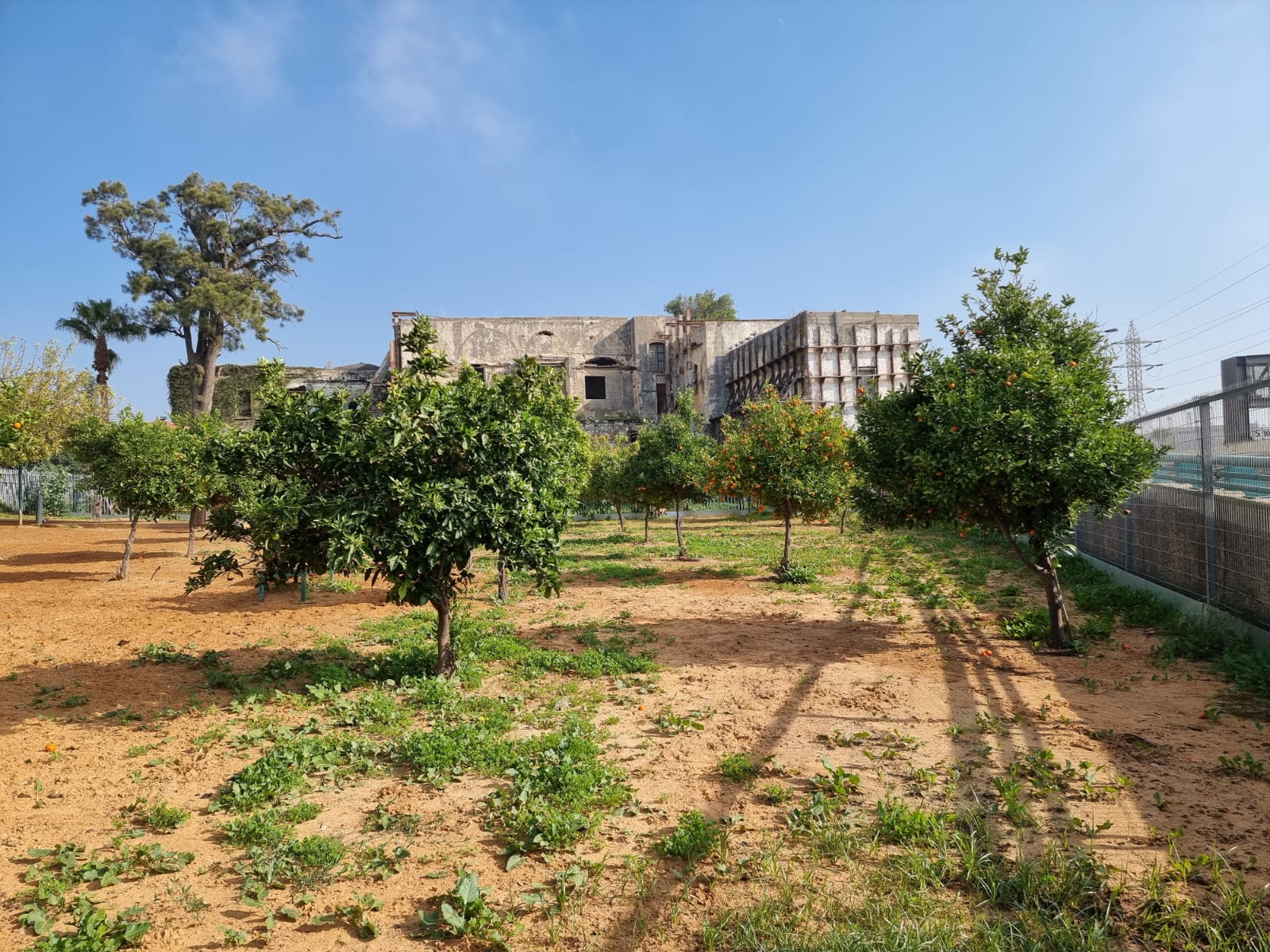 WhatsApp Image 2022-01-08 at 1.29.40 PM (2).jpeg